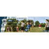EastPoint Sports 2-in-1 Volleyball and Badminton Set, Adjustable Height Net Set with all Accessories